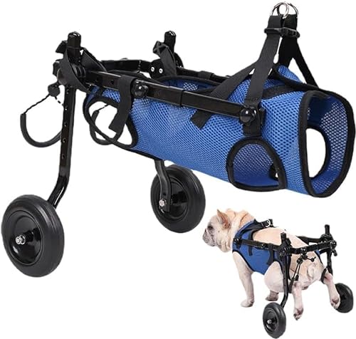 Hunderollstuhl, Behinderter Hund, Behinderte Hundehilfe, Hundewagen, leicht, größenverstellbar, geeignet für kleine und mittelgroße Hunde (2024 neuestes Modell) (Blau-S) von Xiaoluoli