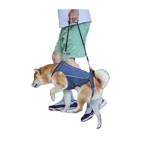 Xiaoluoli Behinderte Hunde, Haustiere mit älteren Hunden, Rollstuhlhunde, Wandertaschen, mittelgroße Hunde, gelähmte Welpen (Marineblau, Größe S (geeignet für Hunde mit einem Gewicht von 3–7,5 kg)) von Xiaoluoli