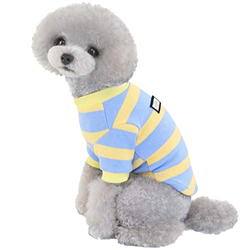 XiinxiGo Gestreifter hundepullover Weihnachts-haustierkleidung, Winddichter Warmer Rollkragenpullover,Himmelblau,2XL von XiinxiGo