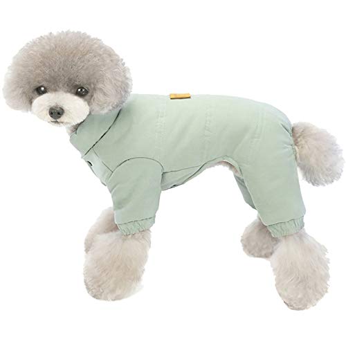 XiinxiGo Hundejacke Winterweste Jacken Hundemantel Hundepullover Haustier Skifahren Kostüm Baumwolle Gepolsterte Weste,Grün,2XL von XiinxiGo