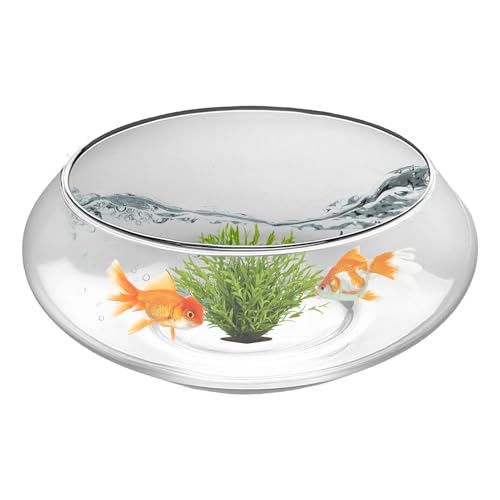 Xiixuuj Glasfischglas – Hydrokultur-Bonsaischale, transparent, rund, breit, für den Innenbereich, für Blumen, Sukkulenten, Vase, Fischschale für Tafelaufsätze, Hochzeit, Zuhause, festlich Xiixuuj Glasfischglas – Hydrokultur-Bonsaischale, transparent, rund, breit, für den Innenbereich, für Blumen, Sukkulenten, Vase, Fischschale für Tafelaufsätze, Hochzeit, Zuhause, festlich von Xiixuuj
