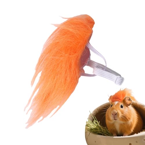 Xiixuuj Hunde-Perücke, orangefarbene kleine Hunde-Perücke, Katzen-Cosplay-Dekoration, Haustier-Kopfbedeckung, Kostüm für Halloween, Weihnachten, Reisen, drinnen und draußen, Versammlungen, Zuhause Xiixuuj Hunde-Perücke, orangefarbene kleine Hunde-Perücke, Katzen-Cosplay-Dekoration, Haustier-Kopfbedeckung, Kostüm für Halloween, Weihnachten, Reisen, drinnen und draußen, Versammlungen, Zuhause von Xiixuuj