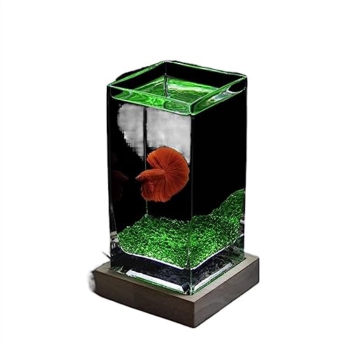 Xilin-872 Aquarien Aquarium, quadratisch, hochtransluzent, Kampffischbecken mit Holzsockel, tropisches Aquarium, verdicktes Glas, Desktop-kleines Aquarium Desktop-Aquarium(Green) von Xilin-872