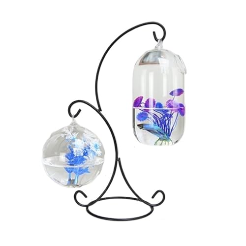 Xilin-872 Aquarien Kleines hängendes Aquarium, Metallrahmen, 2 Stück, Glas, kleines Aquarium, hängende Desktop-Dekoration, Aquarium Desktop-Aquarium von Xilin-872