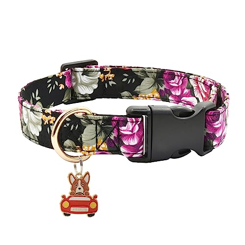 Hundehalsband mit Blumenmuster, weiche Baumwolle, für kleine, mittelgroße und große weibliche und männliche Hunde (S 25,4 cm - 35,6 cm, schwarze Rose) von Ximipet