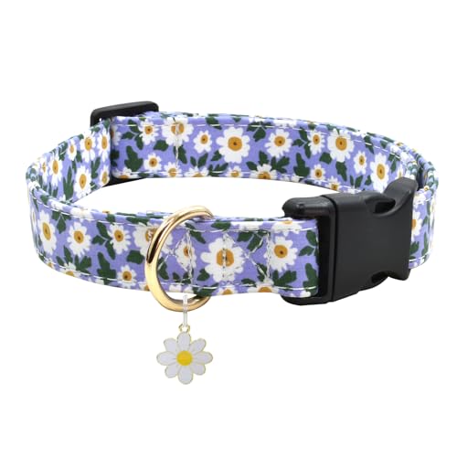 Hundehalsband mit Blumenmuster, weiche Baumwolle für kleine, mittelgroße und große Hündinnen und Rüden (L 38,1 cm - 58,4 cm, lila Sonnenblume) von Ximipet