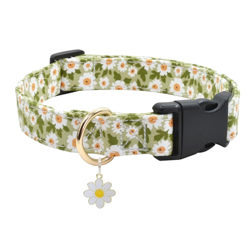 Hundehalsband mit Blumenmuster, weiche Baumwolle Halsband für kleine, mittelgroße und große Hunde Hündinnen und Rüden (M 30,5 cm - 45,7 cm, grüne Sonnenblume) von Ximipet