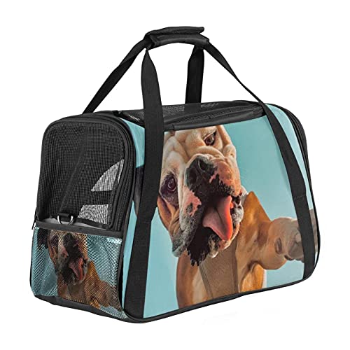 Xingruyun Hundebox Lustiger Hund 03 Transportbox Netter Druck Hundetransportbox Faltbare Katzenbox Kratzfestes Oxford-Tuch Haustiertragetasche 43x26x30 cm von Xingruyun