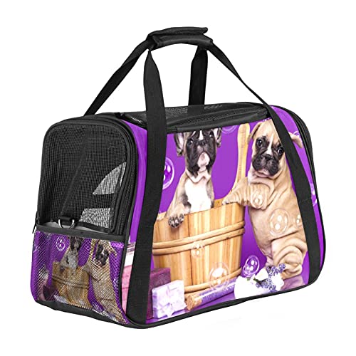 Xingruyun Katze Transporttasche Französische Bulldoggen Hund Transporttasche Faltbare Tragetasche Für Haustiere Hundetragetasche Katzentragetasche 43x26x30 cm von Xingruyun