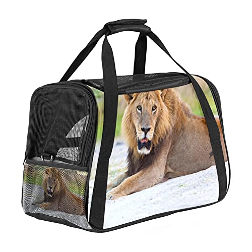 Xingruyun Katze Transporttasche Löwe Hund Transporttasche Faltbare Tragetasche für Haustiere Hundetragetasche Katzentragetasche 43x26x30 cm von Xingruyun