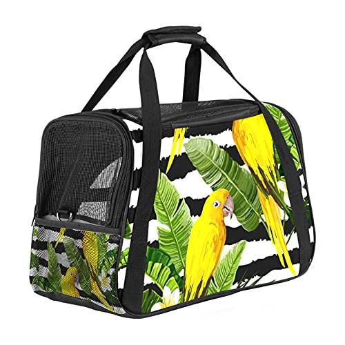 Xingruyun Katze Transporttasche Streifenpapagei Hund Transporttasche Faltbare Tragetasche für Haustiere Hundetragetasche Katzentragetasche 43x26x30 cm von Xingruyun