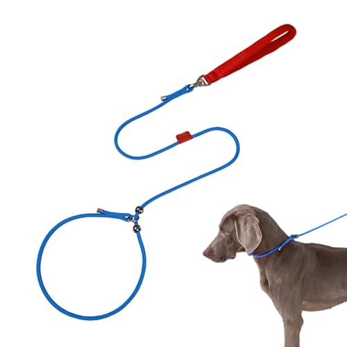 Hundeleinen für kleine Hunde, 150 cm, Welpen-Trainingsleine – Haustier-Umhängegurt, verstellbar, um 360 Grad drehbar, nicht drehbar von Xinhuju