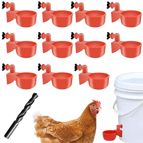 Küken-Futterstation – Hühnertränke, Hühnertränke, 12 Stück Hühnertrinker, Hühner-Wasser-Futterspender für Hühner, Ente, Truthahn, Häschen, Geflügel, Wasserfutter-Set, Orange von Xinhuju