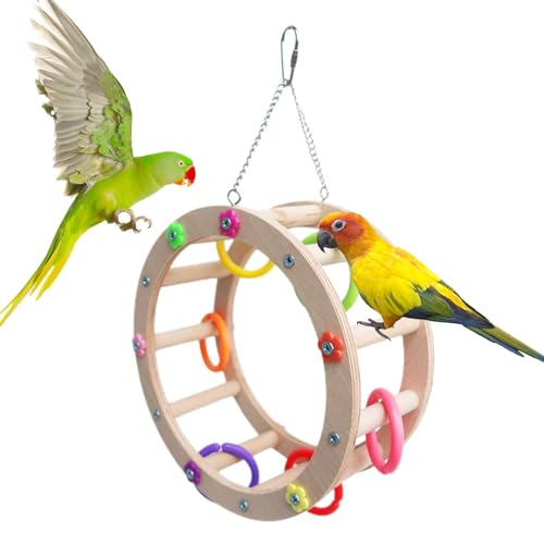 Papageienspielzeug – Vogelspielspielzeug, Vogelsitzstangen, Sittiche | Vogelkäfig-Sitzstangen mit Kauspielzeug, Papageienkäfig-Zubehör und Spielspielzeug, Vogel-Kauspielzeug, Sittich-Sitzstangen-Spiel von Xinhuju