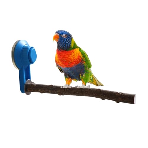 Shotet Barch - Naturpfeffer Vogelperch Papageistand Stift - -Barsch -Standspielzeug mit Saugnapfbecher für Aras, kleine Sittiche, Conures, Säuberungen, Finken von Xinhuju