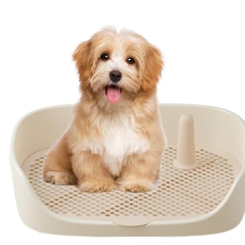 Xinhuju Indoor Töpfchen für Hunde – Indoor Hundetoilette Urinierunterlage Halter, Hundetöpfchen Toilette mit Schutzwand | Indoor Open Top Katzentoilette für Toilettentraining Tablett Xinhuju Indoor Töpfchen für Hunde – Indoor Hundetoilette Urinierunterlage Halter, Hundetöpfchen Toilette mit Schutzwand | Indoor Open Top Katzentoilette für Toilettentraining Tablett von Xinhuju