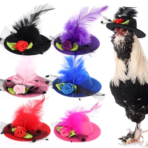 6 Stück Hühnerhelm Chicken Hats Mini Zylinder Hut Vogelhut Kopfbedeckung Schutzhelm DIY Minihüte Lustige Kleine Hüte Haustiere Mütze mit Verstellbarem Elastischem Kinnband für Katzen Hunde Küken von Xinjoduz