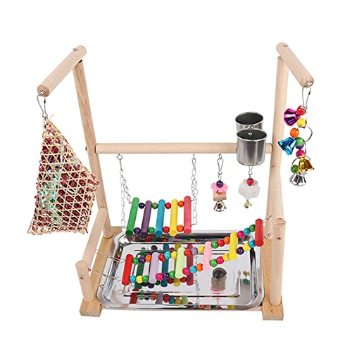 Bird Barch Stand Part Spielplatz Mit Edelstahlschalen Fütterungstassen Leiter Swings Chew Spielzeug Für Vögel von Xinsheinelry