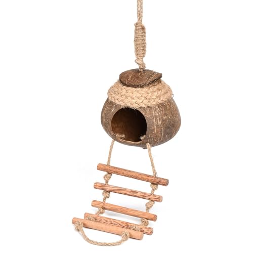 Xinsheinelry Delicate Bird House Kokosnüsse Muschel Haustier Eichhörnchen Spielzeug Freien Nest Für Vögel In Garten Oder Balkonen von Xinsheinelry