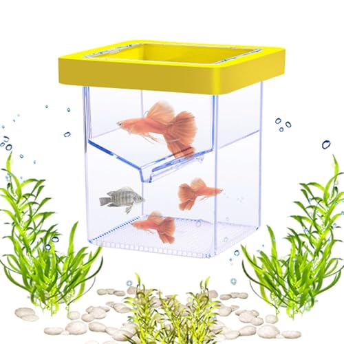 Xistuoz Aquarium-Brutkasten | Transparenter Aquarium-Inkubator – Saugnapf-Schlüpfbehälter, Aquarium-Akklimatisierungsbrutkasten für Baby- und Guppy von Xistuoz