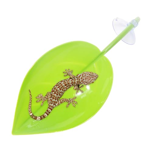 Xistuoz Schildkröten-Sonnenbereich – Lebensraum Terrasse – Blattform Saugnäpfe Amphibien Zubehör für Terrarium Zwergfrösche Schildkröten Gecko-Kröten Xistuoz Schildkröten-Sonnenbereich – Lebensraum Terrasse – Blattform Saugnäpfe Amphibien Zubehör für Terrarium Zwergfrösche Schildkröten Gecko-Kröten von Xistuoz