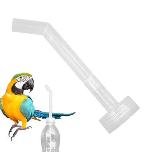 Xistuoz Vogel-Wasserspender | Wasserflaschenfüller Vogeltränke | Langtränke Injektor Sittich Käfig Zubehör Haustierbedarf für Papageien Lovebirds Kanarienfinken Xistuoz Vogel-Wasserspender | Wasserflaschenfüller Vogeltränke | Langtränke Injektor Sittich Käfig Zubehör Haustierbedarf für Papageien Lovebirds Kanarienfinken von Xistuoz