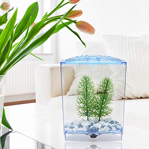 Xiuganpo Mini-Zuchtbox, Mini-Aquarium, Wasserpflanzen-Brutkasten für Aquarien (Einzelkomponente) von Xiuganpo