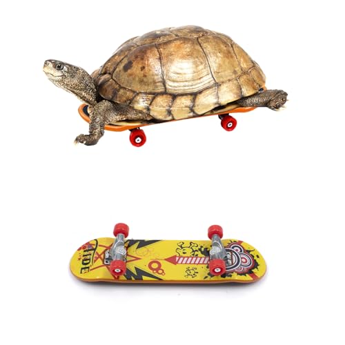 2 Stück Schildkröten Skateboard intelligentes Spielzeug Lustiges Schildkrötenspielzeug Mini Walking Skateboards für Kleine Haustiere Papageien Reptilien 9,5x2,6x1,2 cm von XiyaxiVici