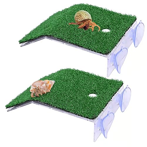 2 Stück Simulation Rasen Plattform für Einsiedlerkrebs mit Saugnapf Kletterleiter Reptil Simulierte Rasen Landschaftsbau für Schildkröten Frösche Molche Salamander 14x8x3,7 cm von XiyaxiVici