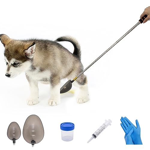 XiyaxiVici Urin Sammler für Hunde und Katzen Set Teleskopischer Urinfänger 20 ml Spritze und 40 ml Probenbecher Wiederverwendbar Handlich Sauber Entnahme Einer Urinprobe von XiyaxiVici