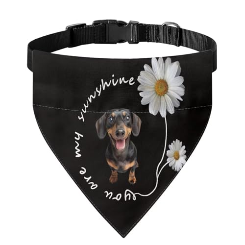 Xoenoiee Hundehalstuch mit Dackel-Motiv Gänseblümchen, Hundehalstuch, Halsband mit Schnalle, wendbar, verstellbar, weiches Haustierkostüm, Größe S von Xoenoiee