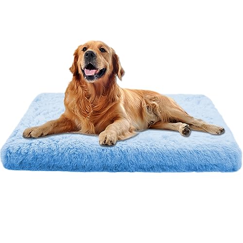 Xpnit Hundebett, weiches Plüsch, mittelgroß, Memory-Schaum, Anti-Angstzustände, bequem, wasserdicht, rutschfeste Hundekäfig-Matratze (normal, Größe XXL, Blau) von Xpnit