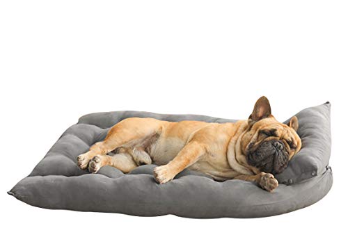 Xpnit Orthopädisches 3-in-1-Hundebett, Sofa und Kissen, Deluxe, faltbar, waschbar, Hundekäfigbett, Matratzenkissen für kleine, mittelgroße Hunde (L, Grau) von Xpnit