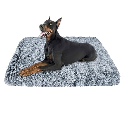 Xpnit Weiche, flauschige Hundebox-Matratze, großes orthopädisches Schaumstoff-Hundebett, mittelgroßes Haustierkissen, bequemes Plüsch, beruhigendes Hundebett (100 x 60 x 7 cm, Dunkelgrau) von Xpnit