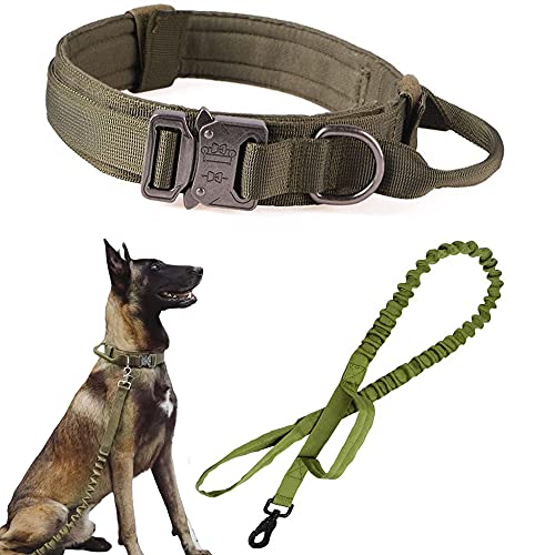 Taktisches Hundehalsband und Leine Set mit Griff Bungee-Leine Verstellbar Militär Training Nylon Halsband Hundetraining Kontrollgriff Metallschnalle (Grün L von Xqpetlihai