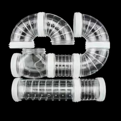 Durchsichtiger Tunnel Tube Track Clear Do It Yourself Spielzeug für Kleintiere Hamster Kaninchen Training Käfig Tunnel Kleintiere Durchsichtiger Tunnel Tube Track Clear Do It Yourself Spielzeug für Kleintiere Hamster Kaninchen Training Käfig Tunnel Kleintiere von XuQiZZpp
