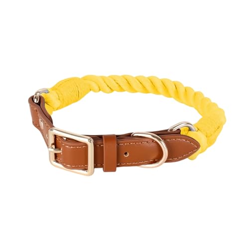 XuQiZZpp Bequemes Hundehalsband aus Baumwolle für kleine Hunde, stabiles gewebtes Design für tägliche Spaziergänge und Training XuQiZZpp Bequemes Hundehalsband aus Baumwolle für kleine Hunde, stabiles gewebtes Design für tägliche Spaziergänge und Training von XuQiZZpp
