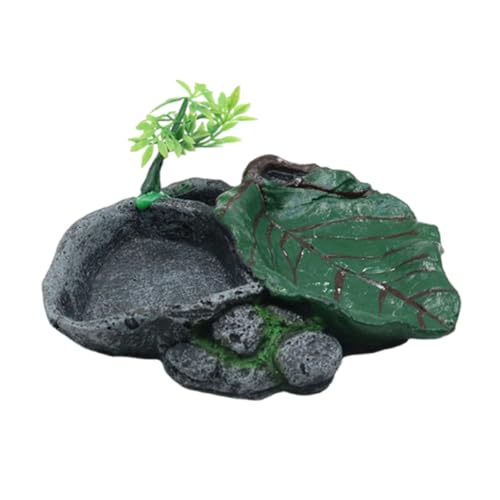 XuQiZZpp Futternapf für Haustiere, langlebig, Harze, für Reptilien, Futter und Wasser, Futterspender für Schildkröten und Eidechsen, Amphibien, Futternapf XuQiZZpp Futternapf für Haustiere, langlebig, Harze, für Reptilien, Futter und Wasser, Futterspender für Schildkröten und Eidechsen, Amphibien, Futternapf von XuQiZZpp