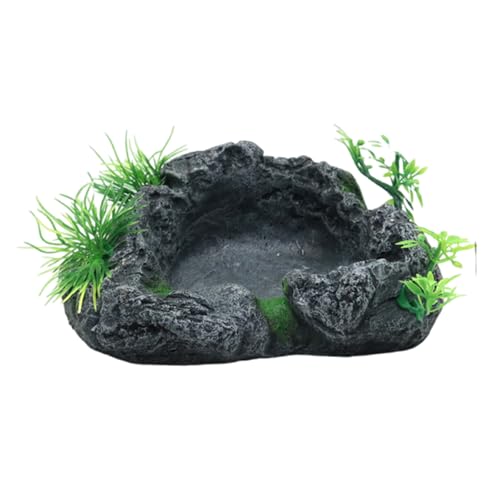 XuQiZZpp Futternapf für Haustiere, langlebig, Harze, für Reptilien, Futter und Wasser, Futterspender für Schildkröten und Eidechsen, Amphibien, Futternapf XuQiZZpp Futternapf für Haustiere, langlebig, Harze, für Reptilien, Futter und Wasser, Futterspender für Schildkröten und Eidechsen, Amphibien, Futternapf von XuQiZZpp