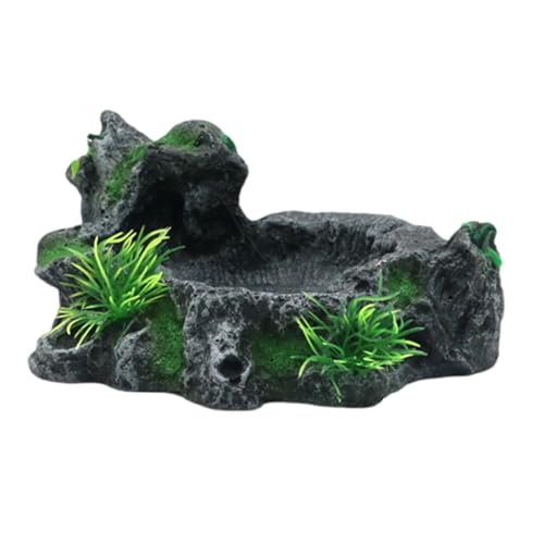 XuQiZZpp Futternapf für Haustiere, langlebig, Harze, für Reptilien, Futter und Wasser, Futterspender für Schildkröten und Eidechsen, Amphibien, Futternapf XuQiZZpp Futternapf für Haustiere, langlebig, Harze, für Reptilien, Futter und Wasser, Futterspender für Schildkröten und Eidechsen, Amphibien, Futternapf von XuQiZZpp