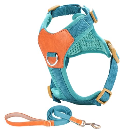 XuQiZZpp Hundegeschirr für kleine Hunde, ohne Ziehen, mit Leine, verstellbarer Clip, bequemer und sicherer Clip XuQiZZpp Hundegeschirr für kleine Hunde, ohne Ziehen, mit Leine, verstellbarer Clip, bequemer und sicherer Clip von XuQiZZpp