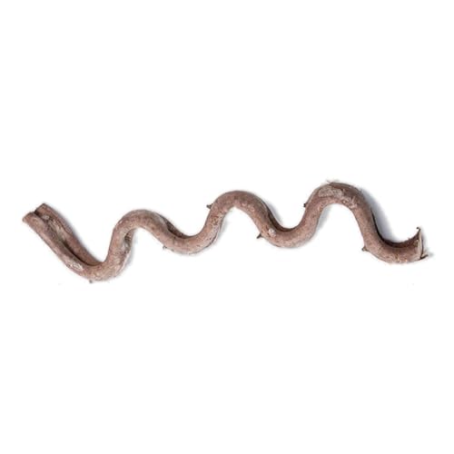 XuQiZZpp Natürliche Reptilien, Eckaste, Kletterranke, Rattanrebe für Terrarien, dekorative Pflanze, Rattanstock für Eidechsen, Schlangen, Terrarien, Dekorationen XuQiZZpp Natürliche Reptilien, Eckaste, Kletterranke, Rattanrebe für Terrarien, dekorative Pflanze, Rattanstock für Eidechsen, Schlangen, Terrarien, Dekorationen von XuQiZZpp