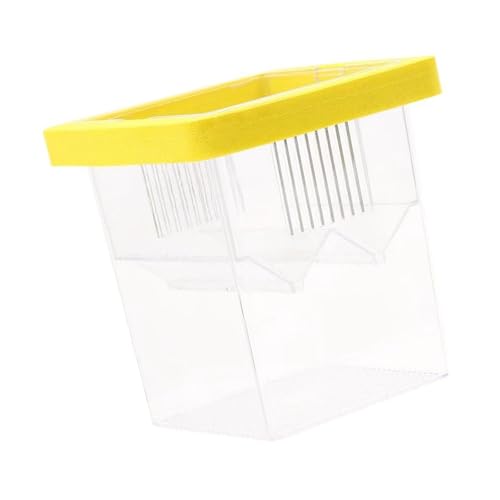 Acryl Fischzuchtbox für Brutkasten und Isolierung für Aquarien Zuchtbox mit Saugnäpfen Wasserpflege Brutkasten Acryl Fischzuchtbox für Brutkasten und Isolierung für Aquarien Zuchtbox mit Saugnäpfen Wasserpflege Brutkasten von Xuancai
