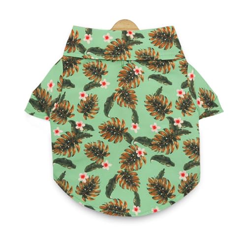 Xuanxi Haustier-Revers-Hals-Shirt, Haustier-Overall, Hundekleidung, einfacher Overall für kleine Hunde, Kleidung, Frühlingskleidung, Hemden für große Custome-Hemden, lustiger kleiner Blätterdruck Xuanxi Haustier-Revers-Hals-Shirt, Haustier-Overall, Hundekleidung, einfacher Overall für kleine Hunde, Kleidung, Frühlingskleidung, Hemden für große Custome-Hemden, lustiger kleiner Blätterdruck von Xuanxi
