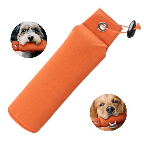 Xuigort Orange Dummy Hunde Hundetraining, Beutel Hund Erziehungshilfen für Dumm Hunde Zubehör, Die Perfekte Erziehungshilfe für Hunde, Extrem Robust und Schwimmfähig(Standard 250g) von Xuigort