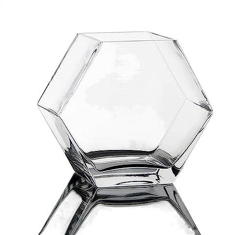 Mini Aquarium Aquarium, sechseckiges Glas-Aquarium, transparentes Tisch-Aquarium, Kampffische, großes Aquarium, ökologische Heimeinrichtung Kleines Aquarium(M) von Xumh2024-3