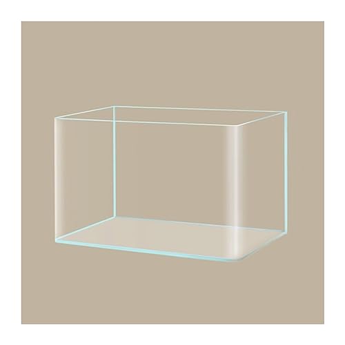 Mini Aquarium Aquarium-Becken, rechteckige Glas-Tischplatte, kleines Aquarium, Öko-Landschaft, Wasserpflanzen, Goldfische, Aquakultur-Dekoration Kleines Aquarium(A) von Xumh2024-3