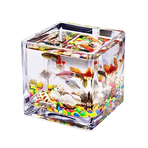 Mini Aquarium Aquarium-Glas, quadratisch, verdickt, transparent, Aquarium, Arbeitsplatte, kleiner Heimtank for Aquarien, ökologisches Schildkrötenbecken Kleines Aquarium(L) von Xumh2024-3