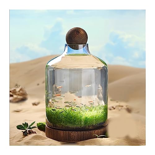 Mini Aquarium Aquarium-Glasflasche, ökologische Kultur, Mikrolandschaft, selbstzirkulierender kleiner Pflanzentank mit Tischdekoration auf Holzbasis Kleines Aquarium(L) von Xumh2024-3
