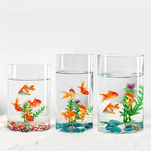 Mini Aquarium Goldfischbecken, transparentes Glas, Aquarium, kleine ökologische Box, zylindrisches großes Schildkrötenbecken, Zubehörbecken Kleines Aquarium(004) von Xumh2024-3